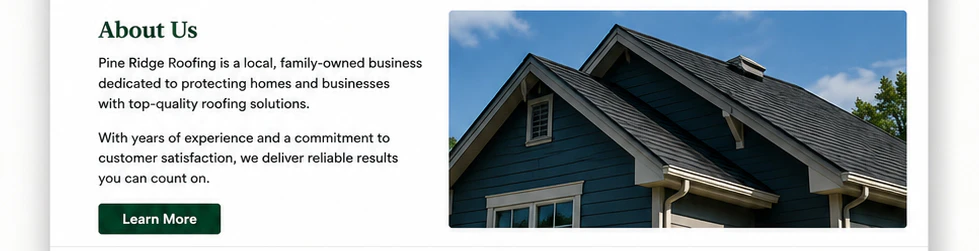 Example brochure website about section